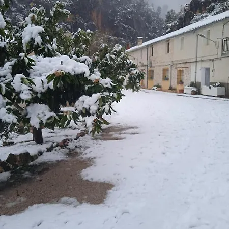 La Libelula *